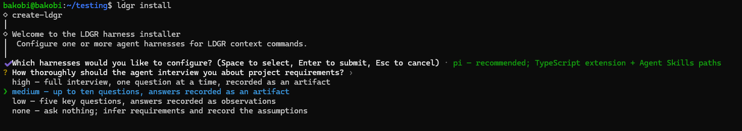 Terminal installer showing high, medium, low, and none requirements-questioning choices.